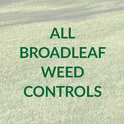 Broadleaf Weeds